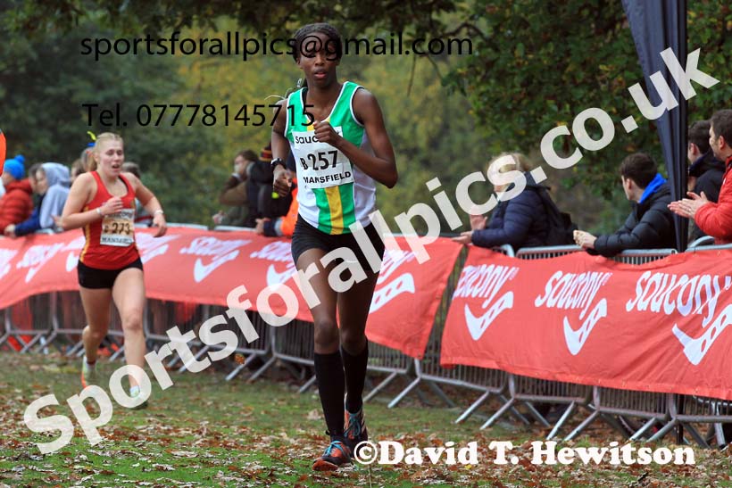 Junior Women, 2022 National Cross Country Relays, Berry Hill Park, Mansfield.  Photo: David T. Hewitson/Sports for All Pics